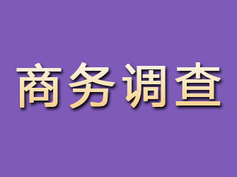 黑河商务调查